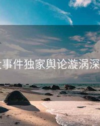 91大事件独家舆论漩涡深解析