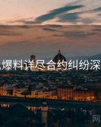 吃瓜爆料详尽合约纠纷深解析
