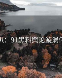 独家深扒：91黑料舆论漩涡传播路径
