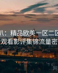 独家深扒：精品欧美一区二区三区免费观看影评集锦流量密码