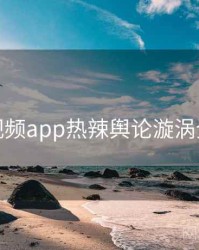 探花视频app热辣舆论漩涡全追踪