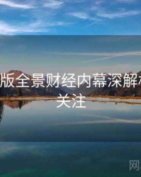 P站中文版全景财经内幕深解析，值得关注