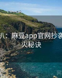 独家深扒：麻豆app官网抄袭风波爆火秘诀