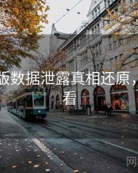 91网页版数据泄露真相还原，速来查看