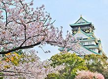 探花视频app全面财经内幕真相还原