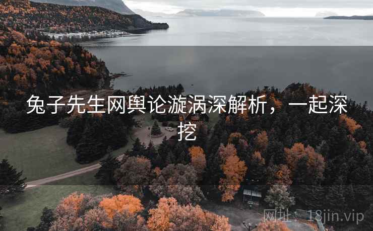 兔子先生网舆论漩涡深解析，一起深挖