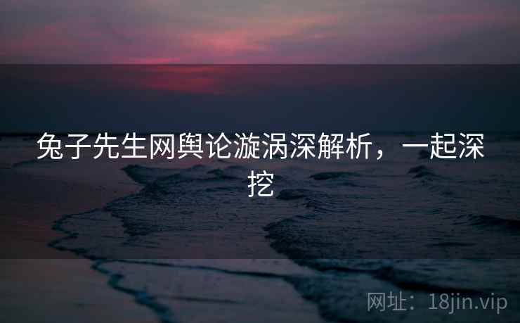 兔子先生网舆论漩涡深解析，一起深挖