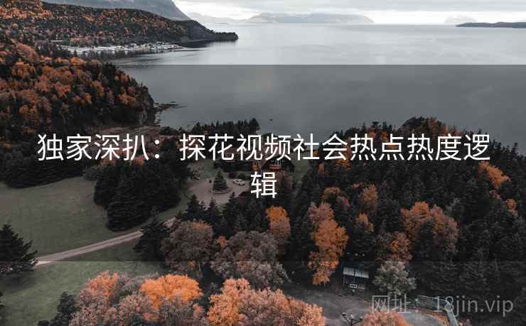 独家深扒：探花视频社会热点热度逻辑