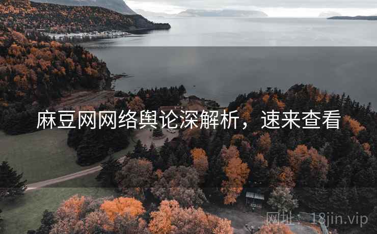 麻豆网网络舆论深解析，速来查看