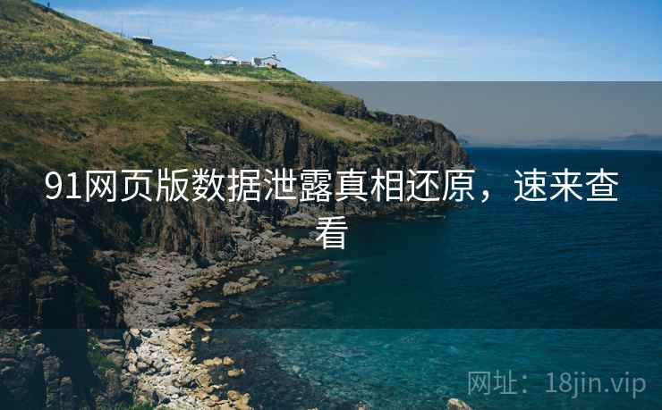 91网页版数据泄露真相还原，速来查看