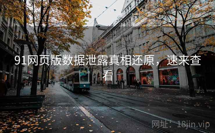 91网页版数据泄露真相还原，速来查看