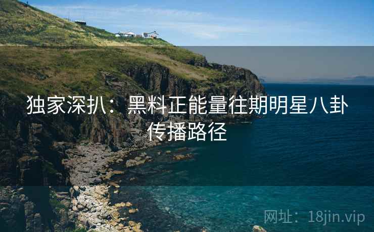 独家深扒：黑料正能量往期明星八卦传播路径