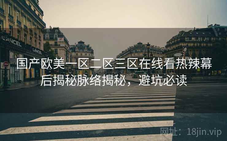 国产欧美一区二区三区在线看热辣幕后揭秘脉络揭秘，避坑必读