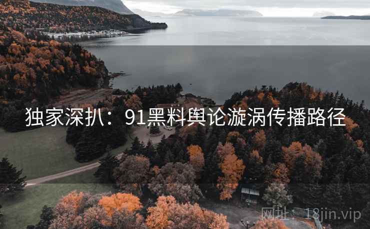 独家深扒：91黑料舆论漩涡传播路径