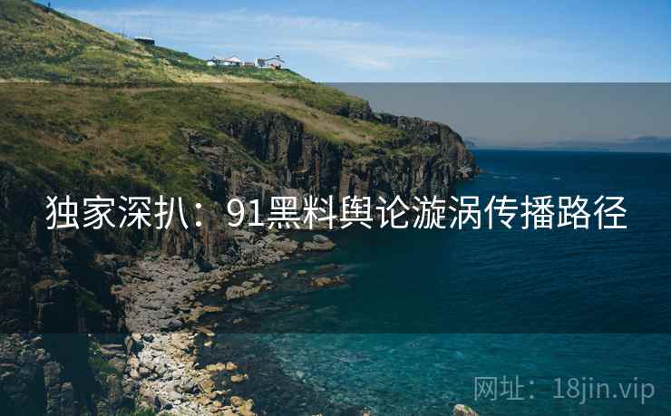 独家深扒：91黑料舆论漩涡传播路径